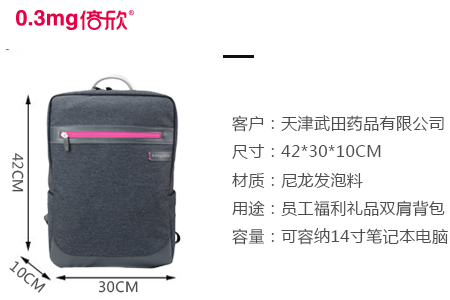 武田藥品定制員工福利雙肩背包