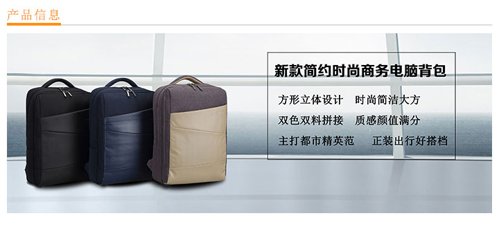  新款簡(jiǎn)約時(shí)尚商務(wù)電腦背包