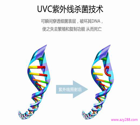 UVC紫外線是如何殺滅細(xì)菌的?