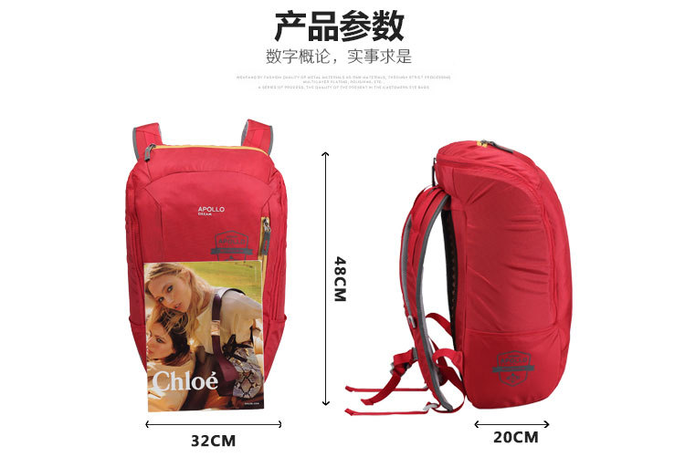 Apollo dream大容量戶外運(yùn)動(dòng)便攜休閑雙肩包定制